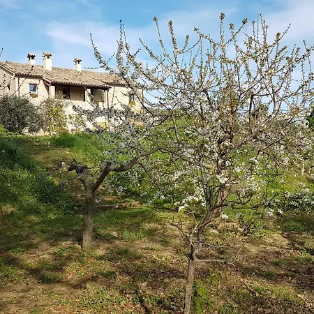 Domus Taberna Gio Gio * Mondaino